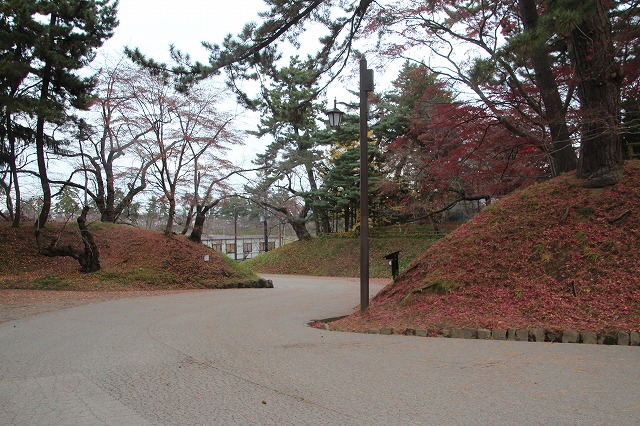 f:id:ksagi:20201128184637j:plain