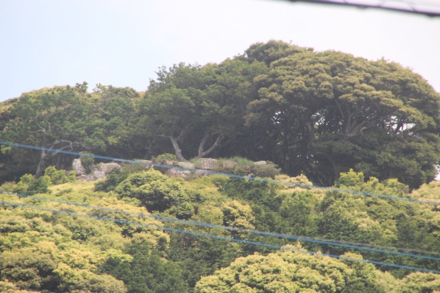 f:id:ksagi:20210831210020j:plain