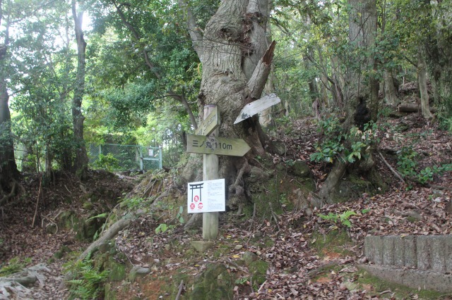 f:id:ksagi:20210831210150j:plain