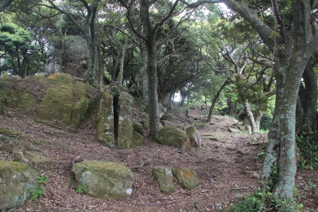 f:id:ksagi:20210831210347j:plain