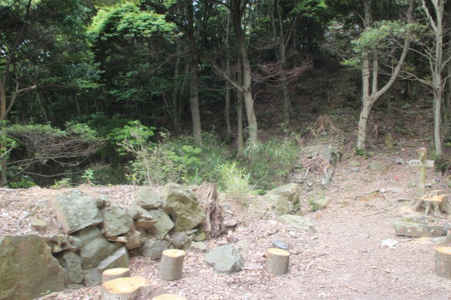 f:id:ksagi:20210831210626j:plain