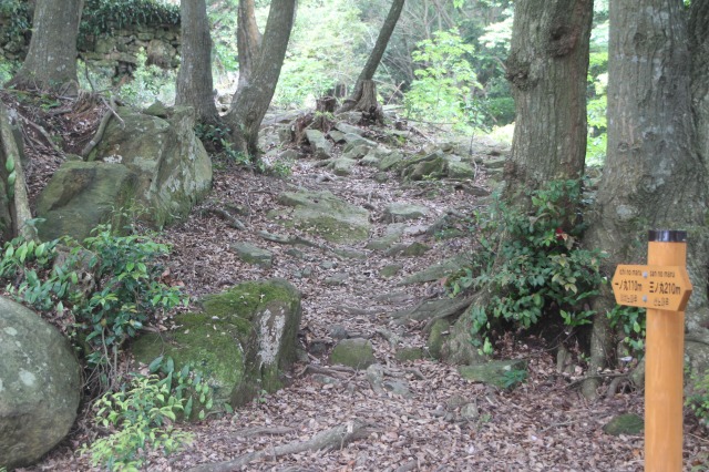 f:id:ksagi:20210831211805j:plain