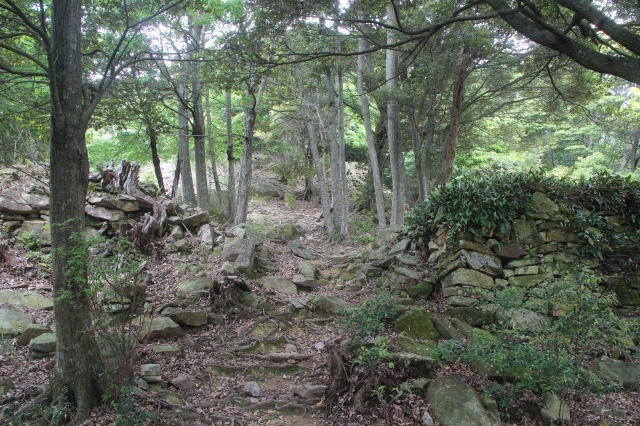 f:id:ksagi:20210831211912j:plain