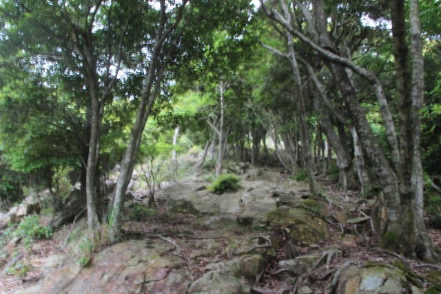 f:id:ksagi:20210831212030j:plain