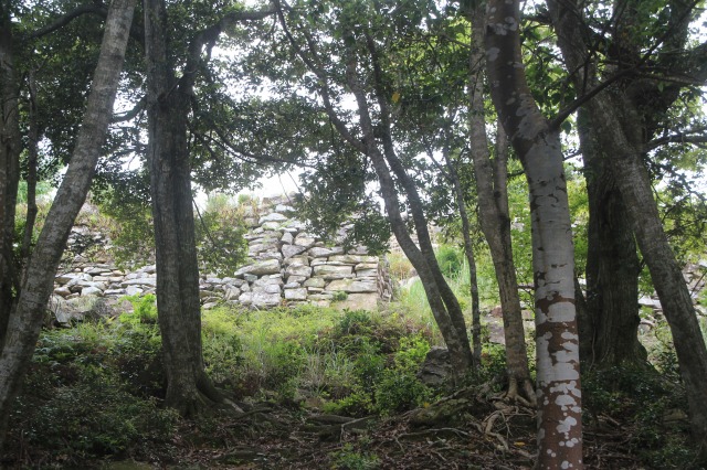 f:id:ksagi:20210831212045j:plain