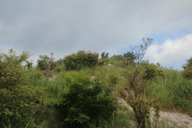 f:id:ksagi:20210831212138j:plain