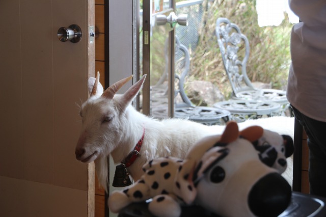 f:id:ksagi:20210903145546j:plain