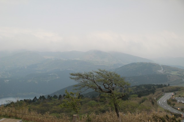 f:id:ksagi:20210903150031j:plain