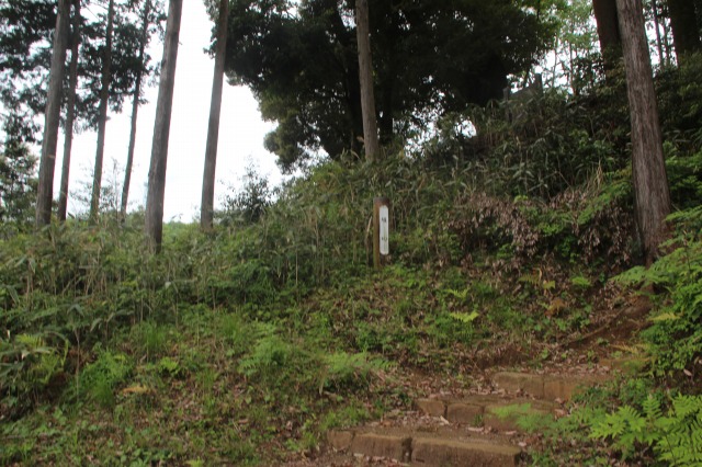 f:id:ksagi:20210903205210j:plain