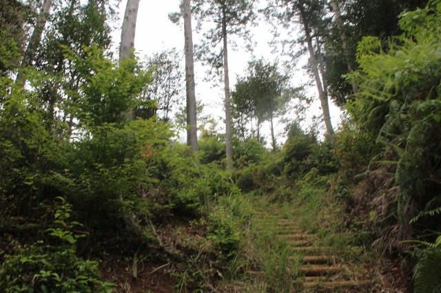 f:id:ksagi:20210903205334j:plain