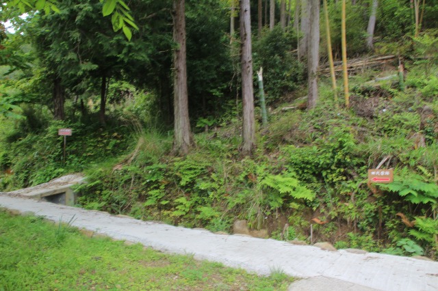 f:id:ksagi:20210903210529j:plain