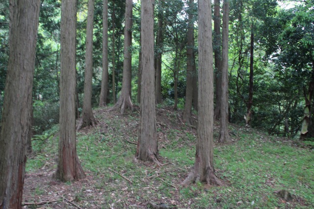 f:id:ksagi:20210903210742j:plain