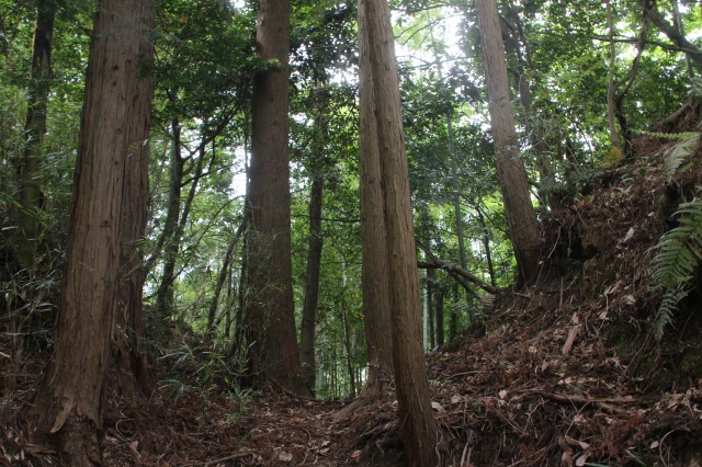 f:id:ksagi:20210903210836j:plain