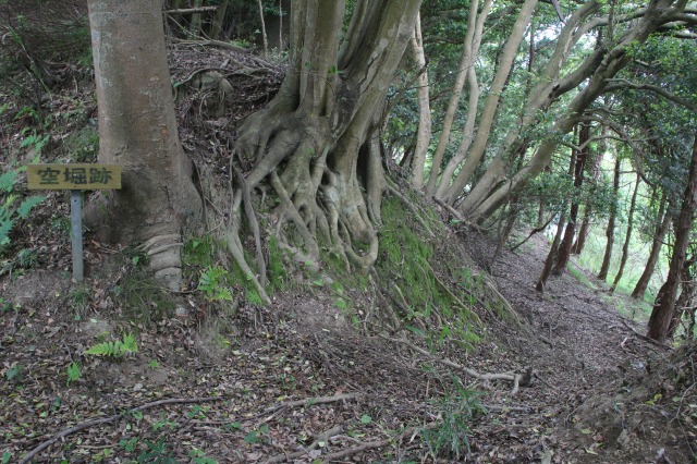 f:id:ksagi:20210903211953j:plain