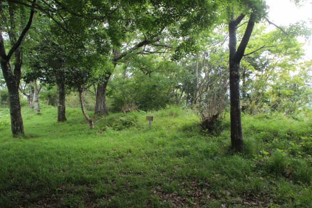 f:id:ksagi:20210903212115j:plain