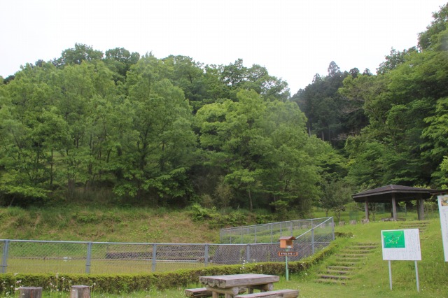 f:id:ksagi:20210903212730j:plain