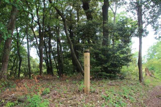 f:id:ksagi:20210903213105j:plain