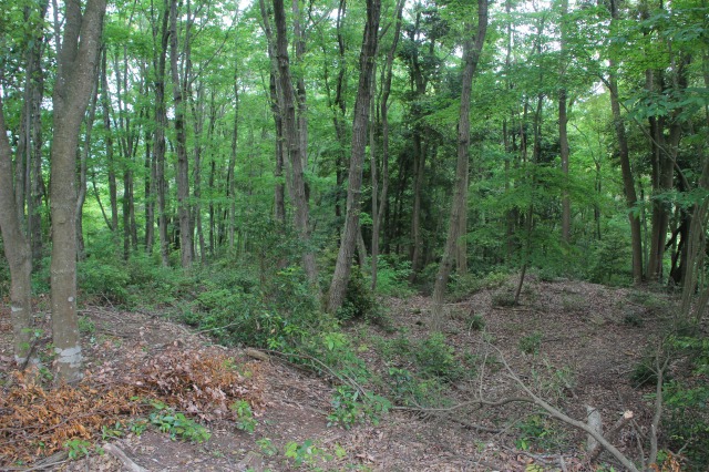 f:id:ksagi:20210903213121j:plain