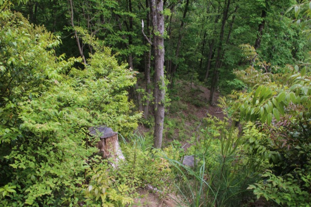 f:id:ksagi:20210903213425j:plain