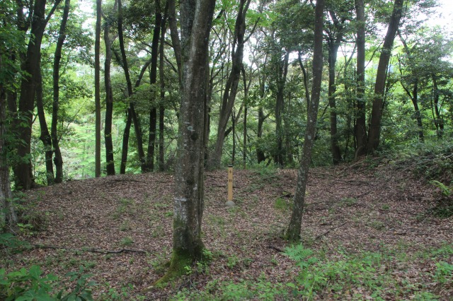 f:id:ksagi:20210903213451j:plain