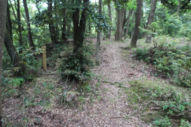 f:id:ksagi:20210903213635j:plain