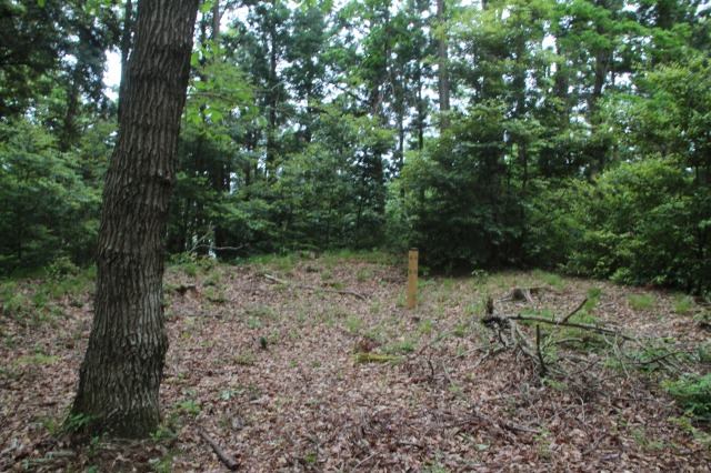 f:id:ksagi:20210903213654j:plain