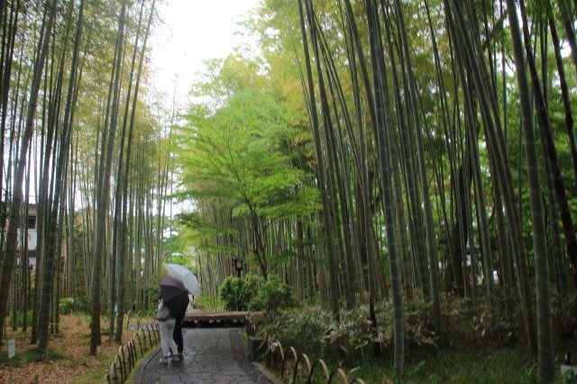 f:id:ksagi:20210903215053j:plain