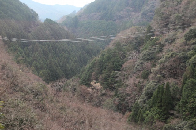 f:id:ksagi:20210906000950j:plain