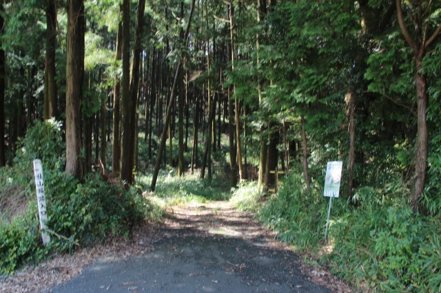 f:id:ksagi:20210922185029j:plain