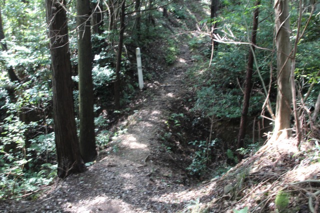 f:id:ksagi:20210922185104j:plain