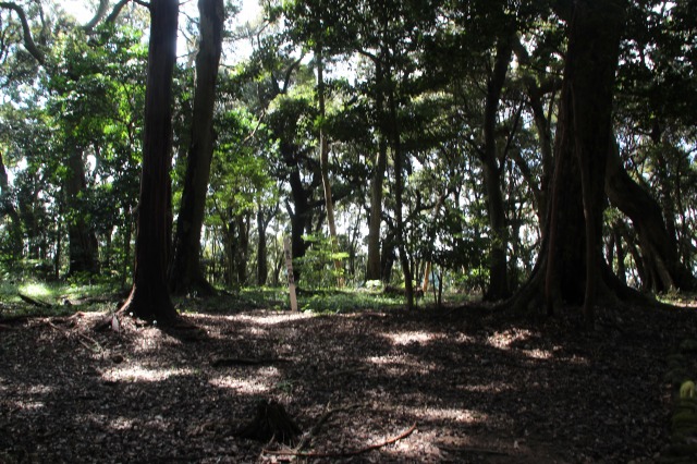 f:id:ksagi:20210922185127j:plain