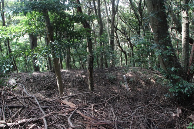 f:id:ksagi:20210922185219j:plain