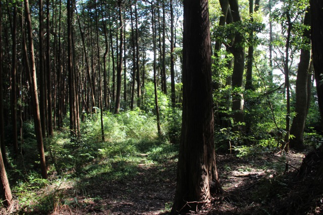 f:id:ksagi:20210922185605j:plain