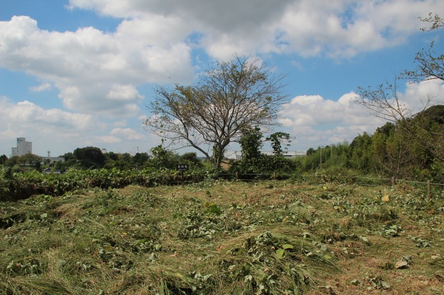 f:id:ksagi:20210922190317j:plain