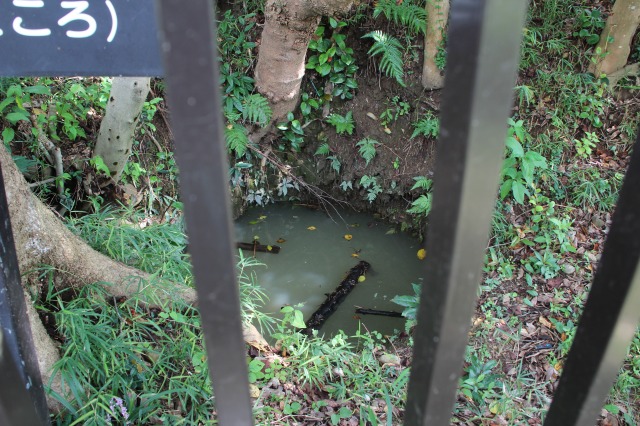 f:id:ksagi:20210922190614j:plain