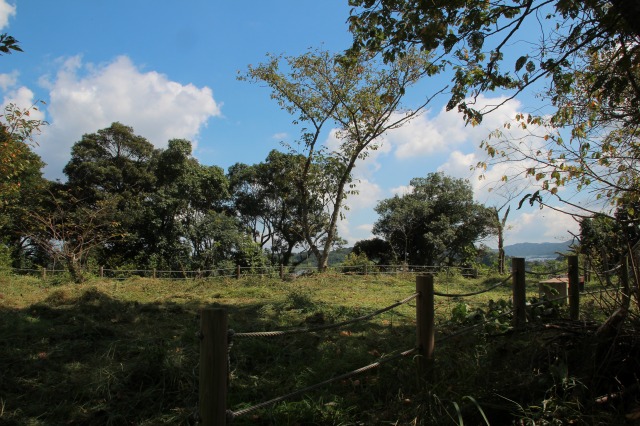 f:id:ksagi:20210922191333j:plain