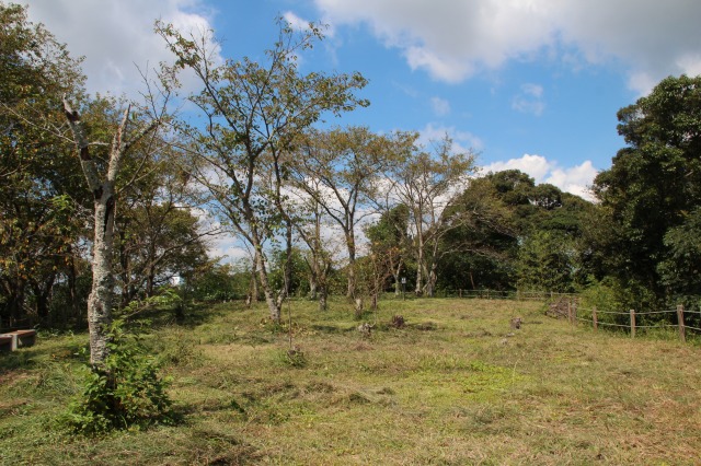 f:id:ksagi:20210922191512j:plain