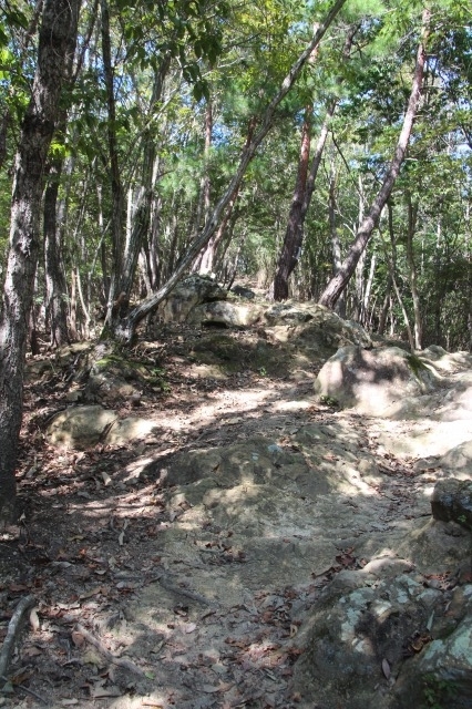 f:id:ksagi:20211003181224j:plain