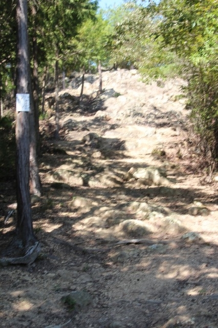 f:id:ksagi:20211003181505j:plain