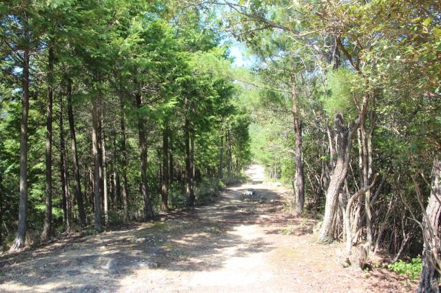 f:id:ksagi:20211003181753j:plain