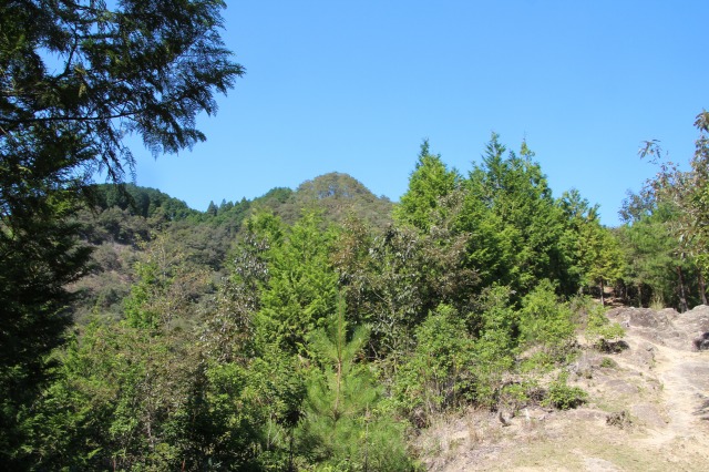 f:id:ksagi:20211003182811j:plain