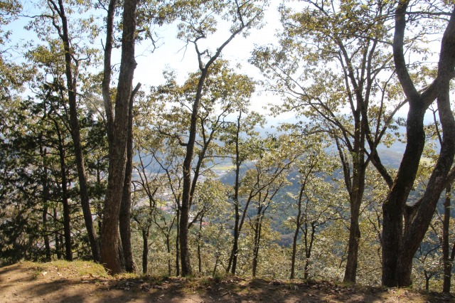 f:id:ksagi:20211003183119j:plain