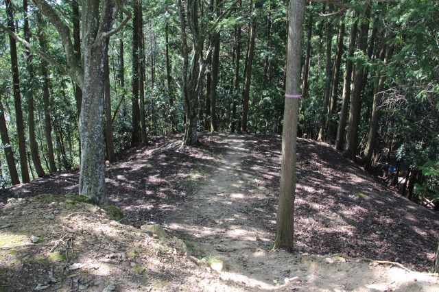 f:id:ksagi:20211003183149j:plain