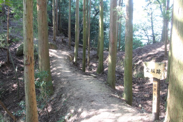 f:id:ksagi:20211003183752j:plain