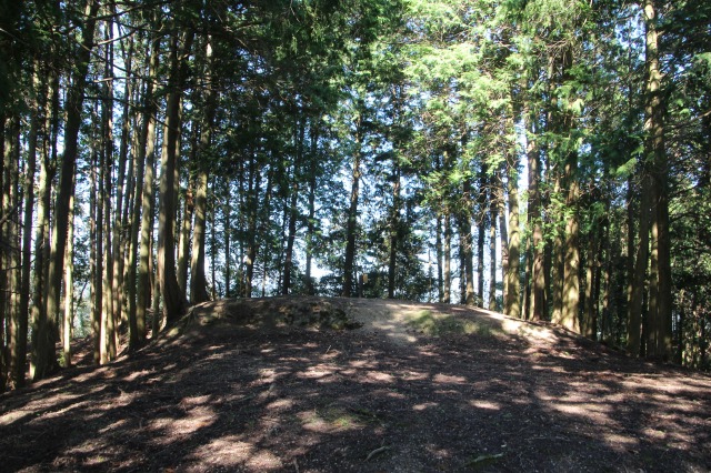 f:id:ksagi:20211003184205j:plain