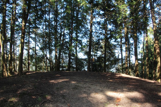 f:id:ksagi:20211003184218j:plain