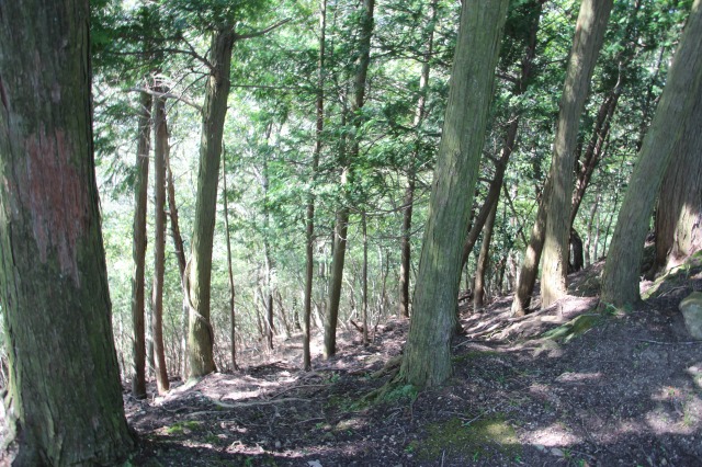 f:id:ksagi:20211003184315j:plain