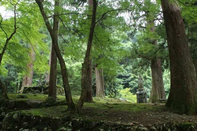 f:id:ksagi:20211017004808j:plain