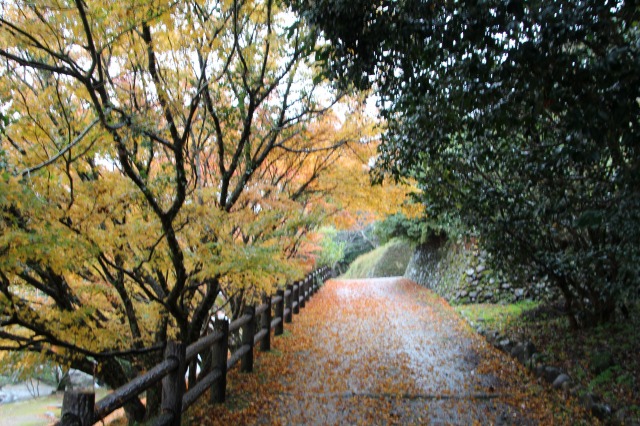 f:id:ksagi:20211128174547j:plain