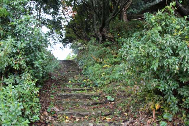 f:id:ksagi:20211128174642j:plain